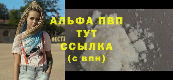 сатива Гусев
