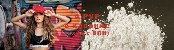 сатива Гусев