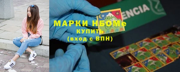 сатива Гусев