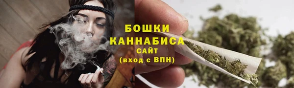сатива Гусев