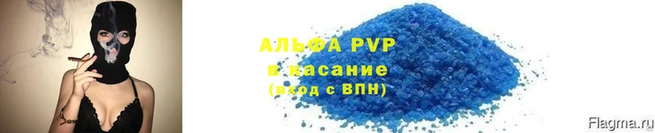 сатива Гусев