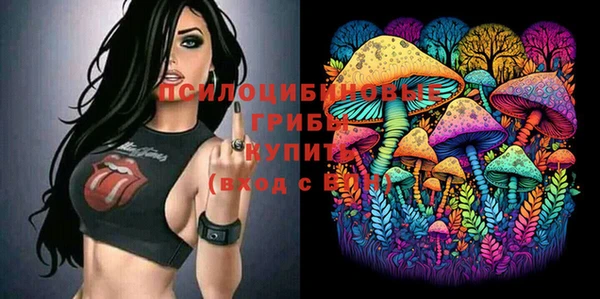 спайс Гусиноозёрск