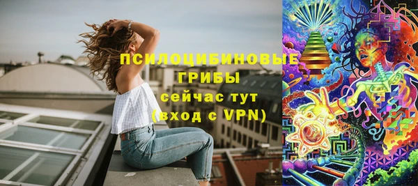 сатива Гусев