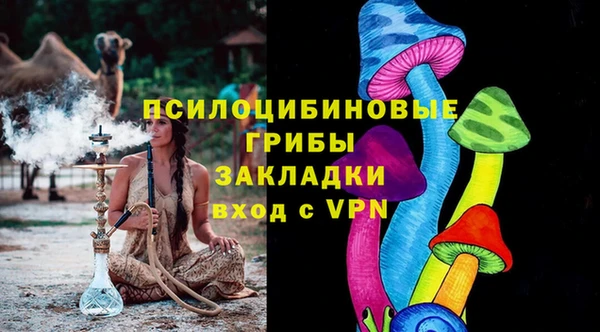 сатива Гусев