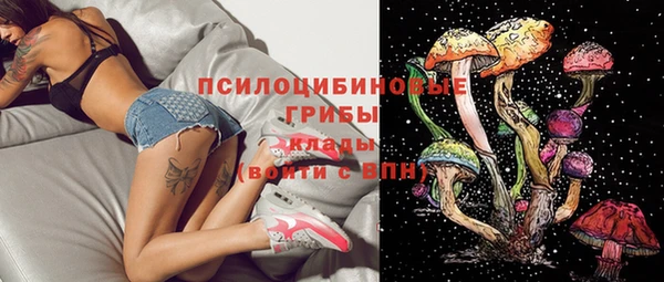 метамфетамин Гусь-Хрустальный
