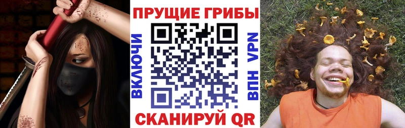 Галлюциногенные грибы мицелий  Купить где  Асино 